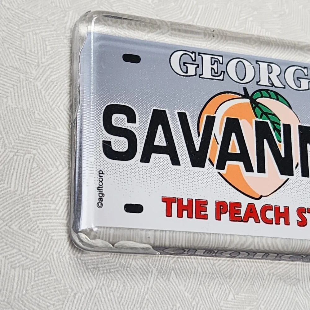 Georgia State License Plate Tag Novelty Key Chain 